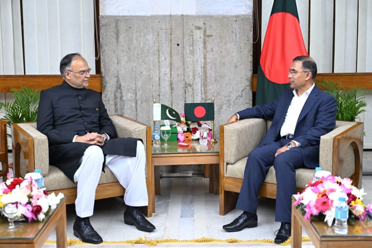 নবনির্বাচিত প্রধানমন্ত্রীর সঙ্গে পাকিস্তানের পরিকল্পনামন্ত্রীর সাক্ষাৎ